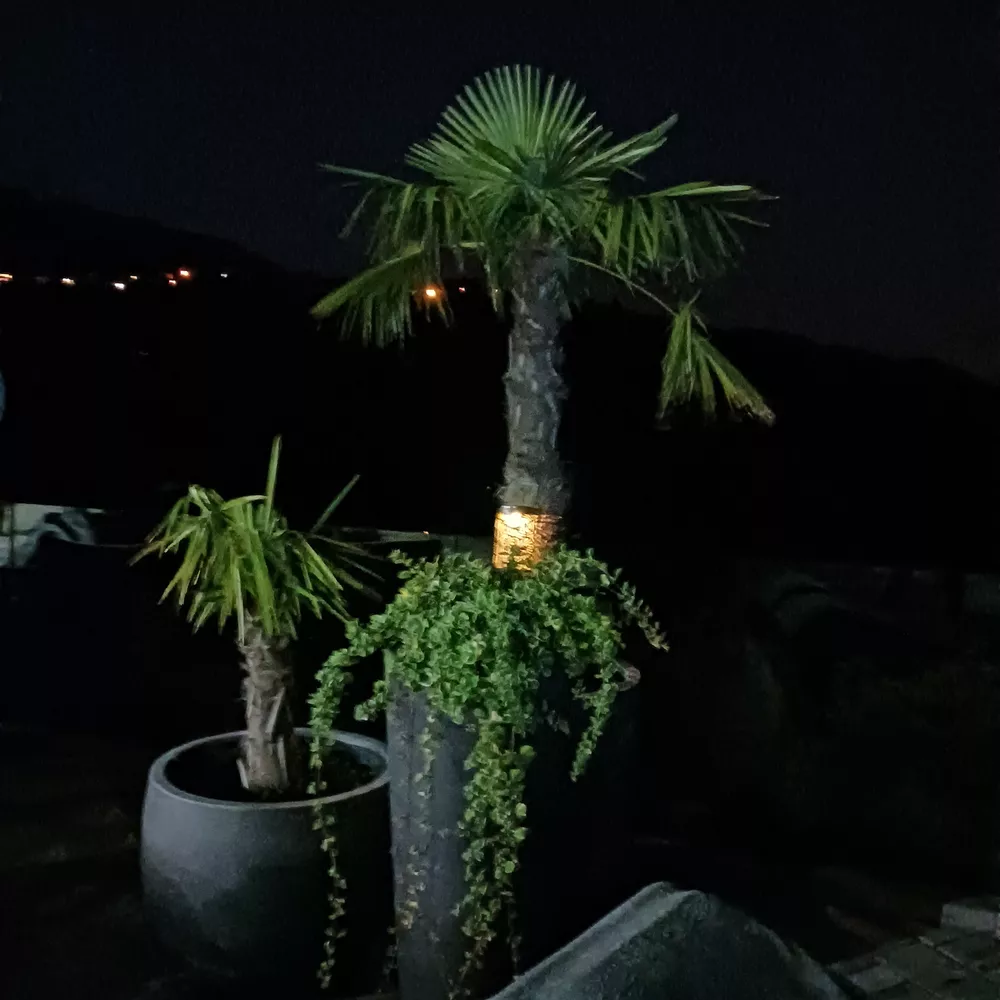 Poolarea by night