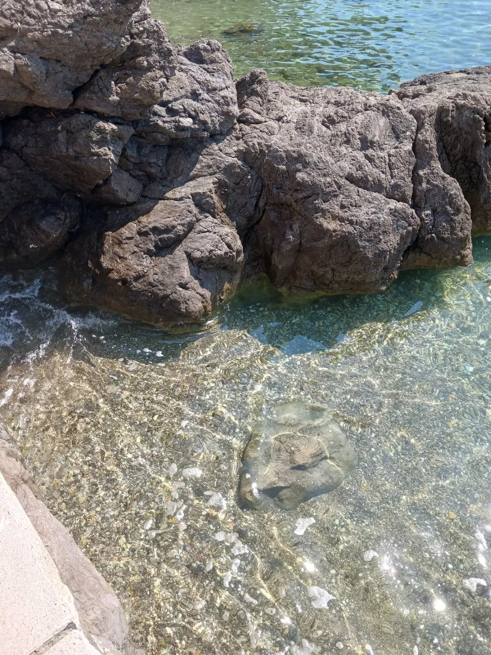 Genießt das kristallklare Wasser in den schönen kleinen Badebuchten in Istrien